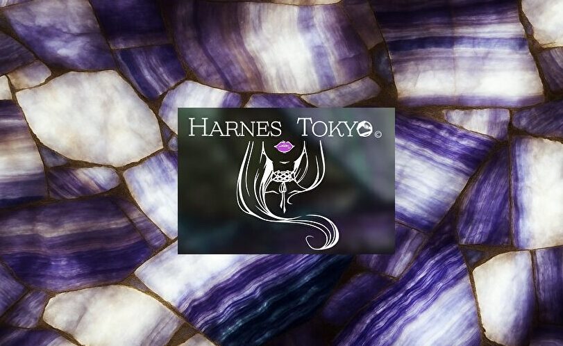 ハーネス東京のバーカウンターイメージとロゴ